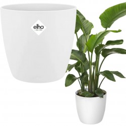 Elho Brussels Round  Indoor Flowerpot, White, 20 cm