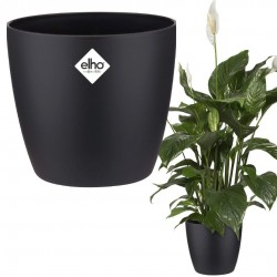 Elho Brussels Round Indoor Flowerpot, 20 cm, Black