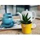 Shop quality Elho Brussels Round Mini Indoor Flowerpot - Ochre, 9cm in Kenya from vituzote.com Shop in-store or online and get countrywide delivery!