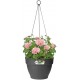 Shop quality Elho Vibia Campana Hanging Basket 26cm - Anthracite in Kenya from vituzote.com Shop in-store or get countrywide delivery!