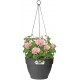 Elho Vibia Campana Hanging Basket 26cm - Anthracite, 8711904361280 Shop quality Elho Vibia Campana Hanging Basket 26cm - Anthracite in Kenya from vituzote.com Shop in-store or get countrywide delivery!