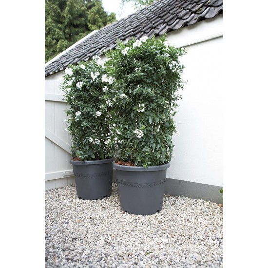 Shop quality Elho Algarve Cilindro Flower Pot, 30cm - Anthracite in Kenya from vituzote.com Shop in-store or online and get countrywide delivery!