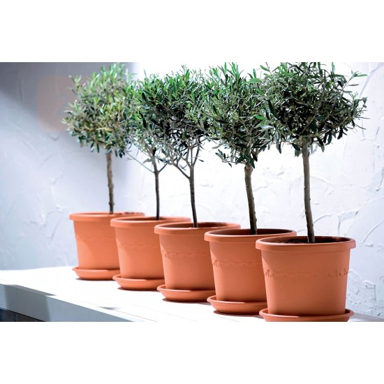 Elho Algarve Cilindro Flower Pot, 30cm, Terra, 8711904052447 Shop quality Elho Algarve Cilindro Flower Pot, 30cm, Terra in Kenya from vituzote.com Shop in-store or online and get countrywide delivery!