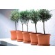 Elho Algarve Cilindro Flower Pot, 30cm, Terra, 8711904052447 Shop quality Elho Algarve Cilindro Flower Pot, 30cm, Terra in Kenya from vituzote.com Shop in-store or online and get countrywide delivery!