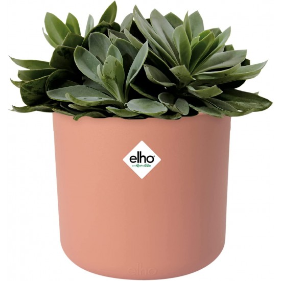 Shop quality Elho Round Indoor Flowerpot, 16cm - Delicate Pink in Kenya from vituzote.com Shop in-store or get countrywide delivery!