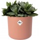 Shop quality Elho Round Indoor Flowerpot, 16cm - Delicate Pink in Kenya from vituzote.com Shop in-store or online and get countrywide delivery!