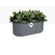 Shop quality Elho Duo Flowerpot - Anthracite - Indoor Flower Pot, 27cm in Kenya from vituzote.com Shop in-store or get countrywide delivery!