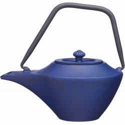 World of Flavours Japanese Teapot with Infuser, Cast Iron, Blue, 450 ml (2 Cup)