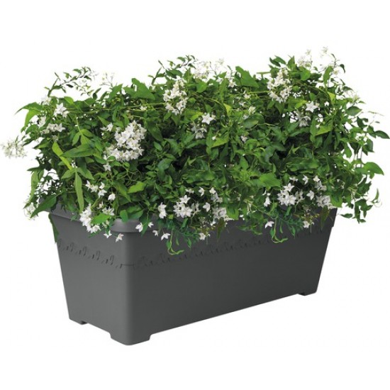Elho Algarve Long Planter, 60cm - Anthracite, 8711904302603 Shop quality Elho Algarve Long Planter, 60cm - Anthracite in Kenya from vituzote.com Shop in-store or get countrywide delivery!
