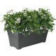 Shop quality Elho Algarve Long Planter, 60cm - Anthracite in Kenya from vituzote.com Shop in-store or get countrywide delivery!