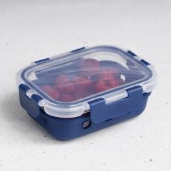Home Basics Michael Graves Design Food Storage Container, 340 Grams, Indigo
