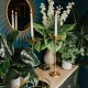 Candlelight Gold Palm Tree shaped Candle Holder - 42 cm Tall, 662593 Shop quality Candlelight Gold Palm Tree shaped Candle Holder - 42 cm Tall in Kenya from vituzote.com Shop in-store or online and get countrywide delivery!