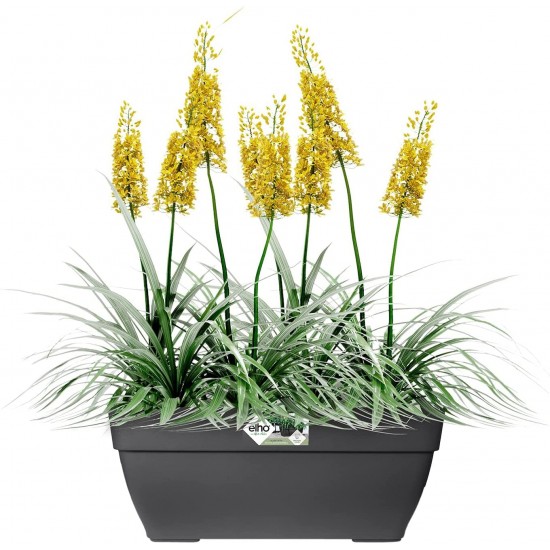 Elho Vibia Campana Terrace Trough, 80cm - Anthracite, 8711904346256 Shop quality Elho Vibia Campana Terrace Trough, 80cm - Anthracite in Kenya from vituzote.com Shop in-store or get countrywide delivery!