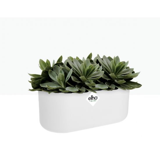 Shop quality Elho Duo Flowerpot - White - Indoor Flower Pot, 27cm in Kenya from vituzote.com Shop in-store or get countrywide delivery!