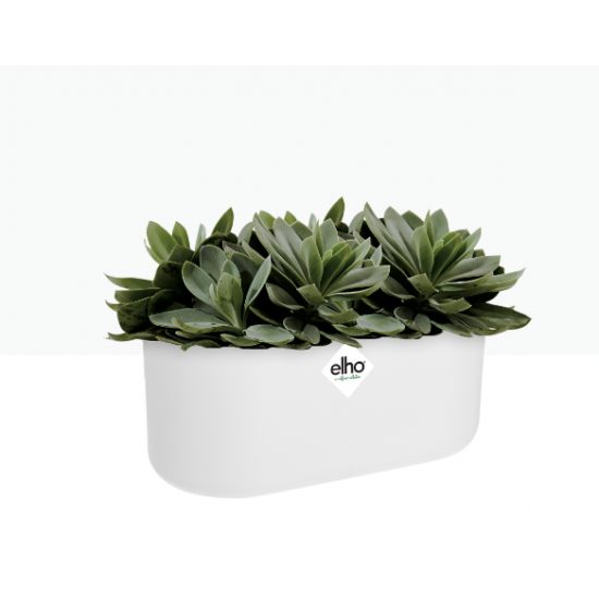 Shop quality Elho Duo Flowerpot - White - Indoor Flower Pot, 27cm in Kenya from vituzote.com Shop in-store or online and get countrywide delivery!