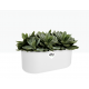 Elho Duo Flowerpot - White - Indoor Flower Pot, 27cm, 8711904302801 Shop quality Elho Duo Flowerpot - White - Indoor Flower Pot, 27cm in Kenya from vituzote.com Shop in-store or online and get countrywide delivery!