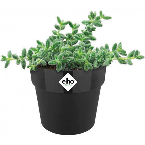 Shop quality Elho Round Mini Flowerpot, 7cm - Living Black in Kenya from vituzote.com Shop in-store or online and get countrywide delivery!