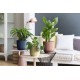 Elho Vibes Fold Round Flowerpot, Delicate Pink with Liner - 18cm, 8711904481094 Shop quality Elho Vibes Fold Round Flowerpot, Delicate Pink with Liner - 18cm in Kenya from vituzote.com Shop in-store or online and get countrywide delivery!