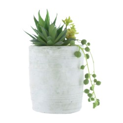 Candlelight Mixed Succulents Green in Textured Cement Pot 15cm 