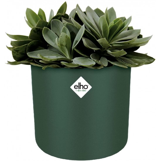 Elho Round Indoor Flowerpot, 22cm - Leaf Green, 8711904494520 Shop quality Elho Round Indoor Flowerpot, 22cm - Leaf Green in Kenya from vituzote.com Shop in-store or get countrywide delivery!