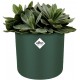 Elho Round Indoor Flowerpot, 22cm - Leaf Green, 8711904494520 Shop quality Elho Round Indoor Flowerpot, 22cm - Leaf Green in Kenya from vituzote.com Shop in-store or get countrywide delivery!