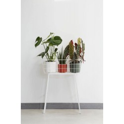 Elho Round Indoor Flowerpot, 16cm - Leaf Green