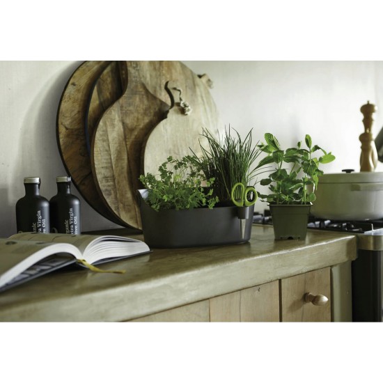 Elho Brussels Herbal Station - Anthracite, 8711904223632 Shop quality Elho Brussels Herbal Station - Anthracite in Kenya from vituzote.com Shop in-store or online and get countrywide delivery!