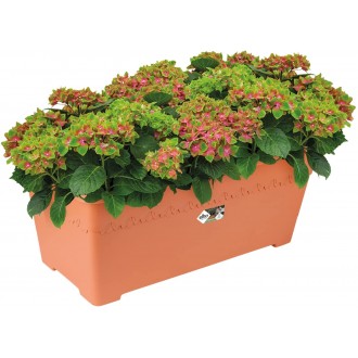 Elho Algarve Terrace Long Flower Pot, 60cm -Terra 