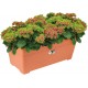 Shop quality Elho Algarve Terrace Long Flower Pot, 60cm -Terra in Kenya from vituzote.com Shop in-store or online and get countrywide delivery!