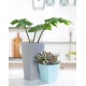 Shop quality Wham Studio 16cm Tall Square Planter Cover Cool Grey in Kenya from vituzote.com Shop in-store or get countrywide delivery!