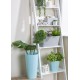 Wham Studio 18cm Tall Round Planter Cover Duck Egg Blue, 27305DB Shop quality Wham Studio 18cm Tall Round Planter Cover Duck Egg Blue in Kenya from vituzote.com Shop in-store or get countrywide delivery!