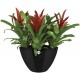 Shop quality Elho Brussels Diamond Oval High Indoor Flowerpot - Metallic Black - 23.5 cm Height in Kenya from vituzote.com Shop in-store or online and get countrywide delivery!