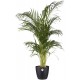 Shop quality Elho Brussels Round Indoor Flowerpot, 20 cm, Black in Kenya from vituzote.com Shop in-store or online and get countrywide delivery!