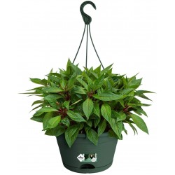 Elho Green Basics Hanging Basket Flowerpot - Leaf Green - Outdoor & Balcony- 28 cm