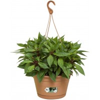 Elho Green Basics Hanging Basket Flowerpot, Mild Terra, Outdoor & Balcony- 28 cm