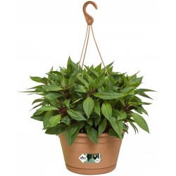 Elho Green Basics Hanging Basket Flowerpot, Mild Terra, Outdoor & Balcony- 28 cm