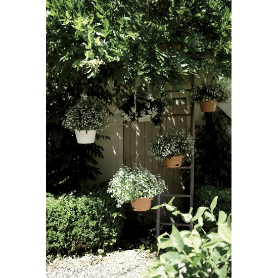 Shop quality Elho Green Basics Hanging Basket Flowerpot, Mild Terra, Outdoor & Balcony- 28 cm in Kenya from vituzote.com Shop in-store or online and get countrywide delivery!