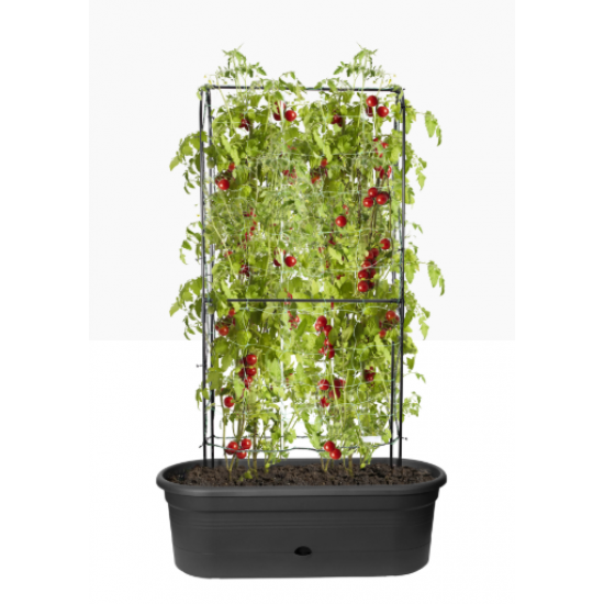 Shop quality Elho Green Basics Veggie Wall Pot 80cm in Kenya from vituzote.com Shop in-store or online and get countrywide delivery!