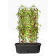 Shop quality Elho Green Basics Veggie Wall Pot 80cm in Kenya from vituzote.com Shop in-store or online and get countrywide delivery!