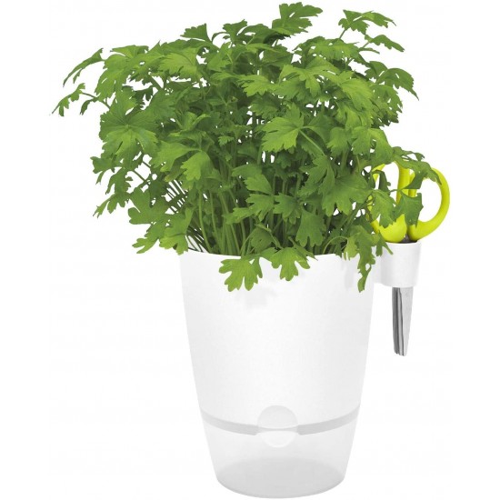 Shop quality Elho Herbs All-in-1 Flowerpot & Herb Scissors, White, 13 cm in Kenya from vituzote.com Shop in-store or online and get countrywide delivery!