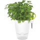 Shop quality Elho Herbs All-in-1 Flowerpot & Herb Scissors, White, 13 cm in Kenya from vituzote.com Shop in-store or online and get countrywide delivery!