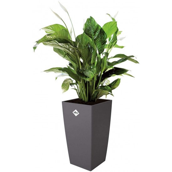 Shop quality Elho Milano Flowerpot, Anthracite, 36.3 cm Height in Kenya from vituzote.com Shop in-store or online and get countrywide delivery!
