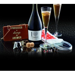 BarCraft Prosecco Gift Set (9 Pieces) - Set includes champagne stopper, 6 dainty wine glass charms & a wine cool bag