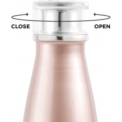 Built Perfect Seal Double Wall Stainless Steel Water Bottle, 17-Ounce, Rose Gold