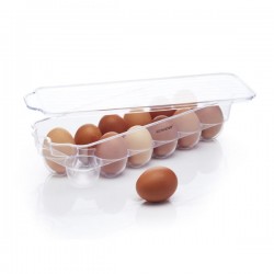 Kitchen Craft Fridge-Safe Plastic Egg Holder with Lid, (13" x 4.5")