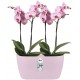 Shop quality Elho Brussels Orchid Duo Indoor Flowerpot - Soft Pink - 12.6 cm Height in Kenya from vituzote.com Shop in-store or online and get countrywide delivery!