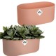 Elho Duo Flowerpot - Delicate Pink - Indoor Flower Pot, 4181302718100 Shop quality Elho Duo Flowerpot - Delicate Pink - Indoor Flower Pot in Kenya from vituzote.com Shop in-store or online and get countrywide delivery!