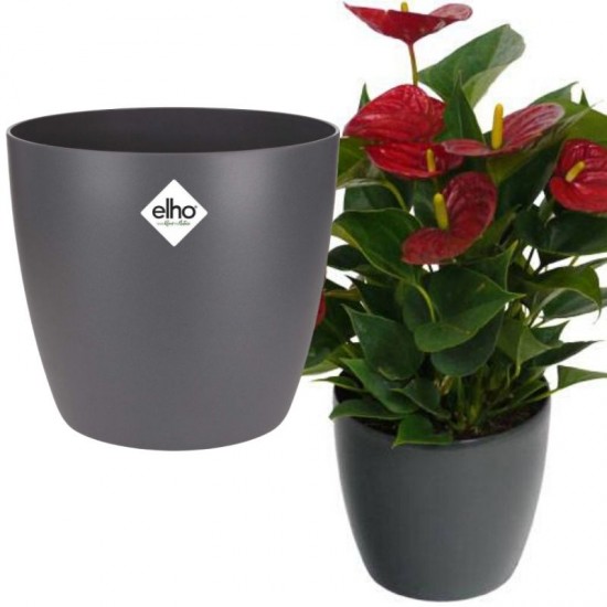 Shop quality Elho Brussels Round Indoor Flowerpot - Anthracite ,14cm in Kenya from vituzote.com Shop in-store or online and get countrywide delivery!