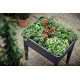 Shop quality Elho Green Basics Grow Table Planter, Living Black in Kenya from vituzote.com Shop in-store or online and get countrywide delivery!