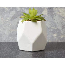 Candlelight Succulent in Geometric Pot White 8cm ( Includes Pot & Artificial Plant)
